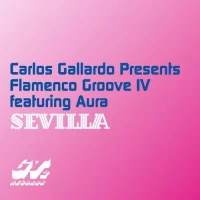 Flamenco Groove IV  - Sevilla