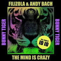 The Mind Is Crazy