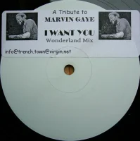 I Want You (Wonderland Remix)