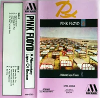 A Momentary Lapse Of Reason