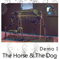 Demo I