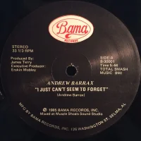 I Just Can't Seem To Forget