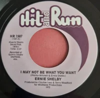 I May Not Be What You Want / I'll See You Through