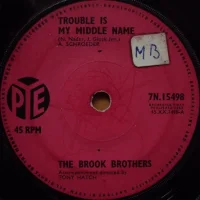 Trouble Is My Middle Name