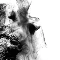 Mirrors & Tides, Shivers & Voids