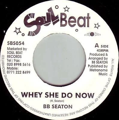 Whey She Do Now / I Love The Reggae