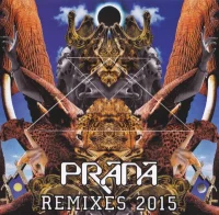 Remixes 2015