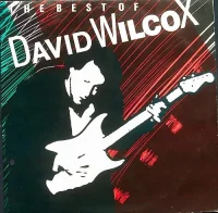 The Best Of David Wilcox