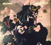 Lady In Mind