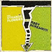 The Strange Flowers vs. Baby Scream!!?!