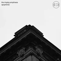 Apophenia