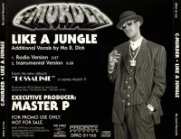 Like A Jungle