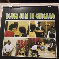 Blues Jam in Chicago Volume One And Volume Two