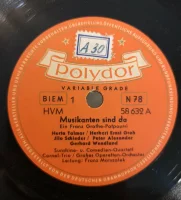 Musikanten Sind Da
