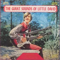 The Giant Sounds Of Little David