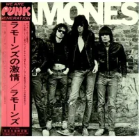Ramones = ラモーンズの激情
