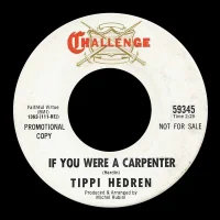 If You Were A Carpenter
