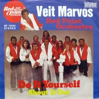 Do It Yourself / Shout It Out
