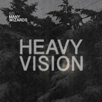 Heavy Vision