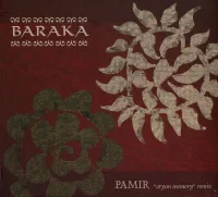 Pamir "Aryan Memory" Remix