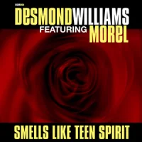 Smells Like Teen Spirit