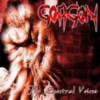 The Spectral Voices