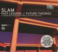 Past Lessons / Future Theories