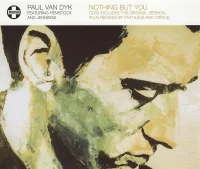 Nothing But You