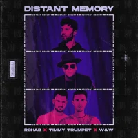 Distant Memory (Extended Version)