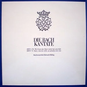 Die Bach Kantate - BWV 178 / BWV 73