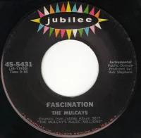 Fascination / Volare