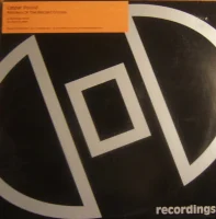 Pioneers Of The Warped Groove
