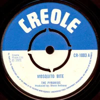 Mosquito Bite
