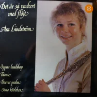 Det Är Så Vackert Med Flöjt