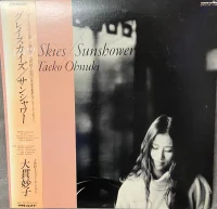 Grey Skies / Sunshower