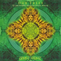 Celtic Vedic