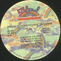 Sun After The Rain