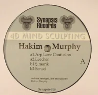 4D Mind Sculpting