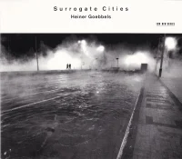 Surrogate Cities
