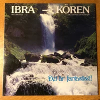 Det Är Fantastiskt!