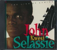 The Lion Of Africa