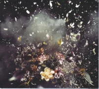 Until Silence