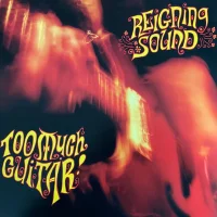 Too Much Guitar