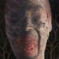 The Four Stages Of Decomposition