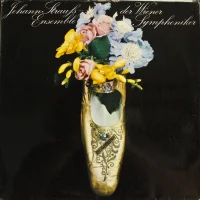 Johann Strauß-Ensemble Der Wiener Symphoniker