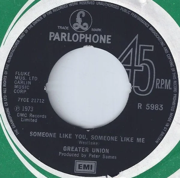 Someone Like You, Someone Like Me