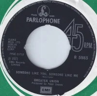 Someone Like You, Someone Like Me