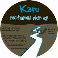 Nocturnal Skin EP