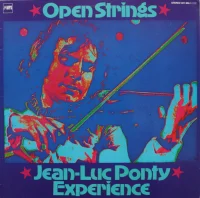 Open Strings