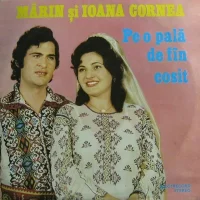 Pe-o Pală De Fîn Cosit